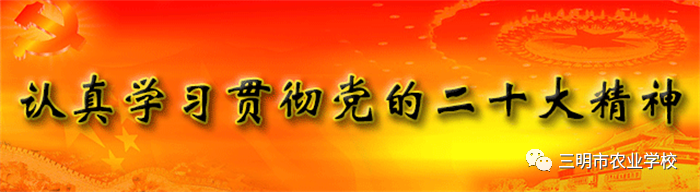1682163500325404.png